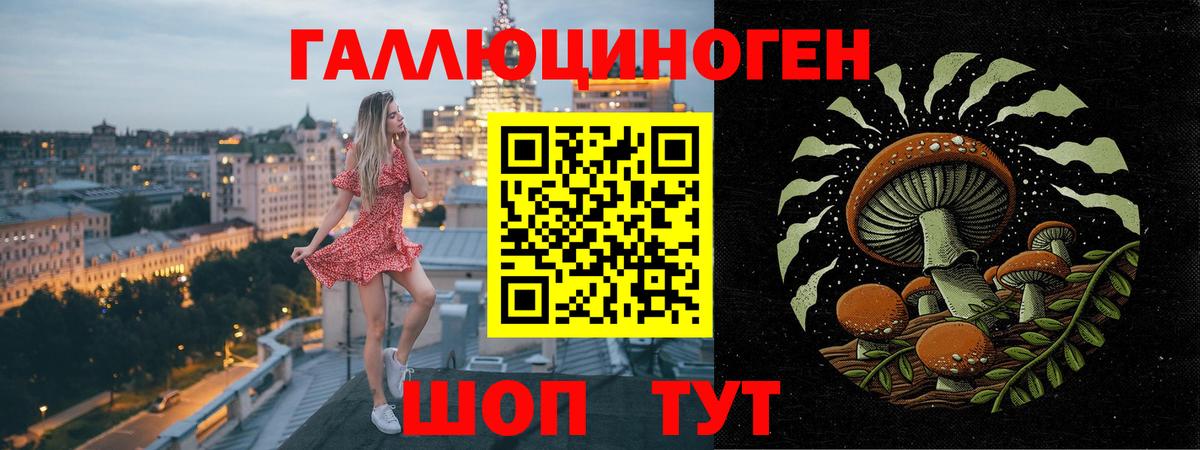Псилоцибиновые грибы Magic Shrooms  Вход с VPN  Ачхой-Мартан 